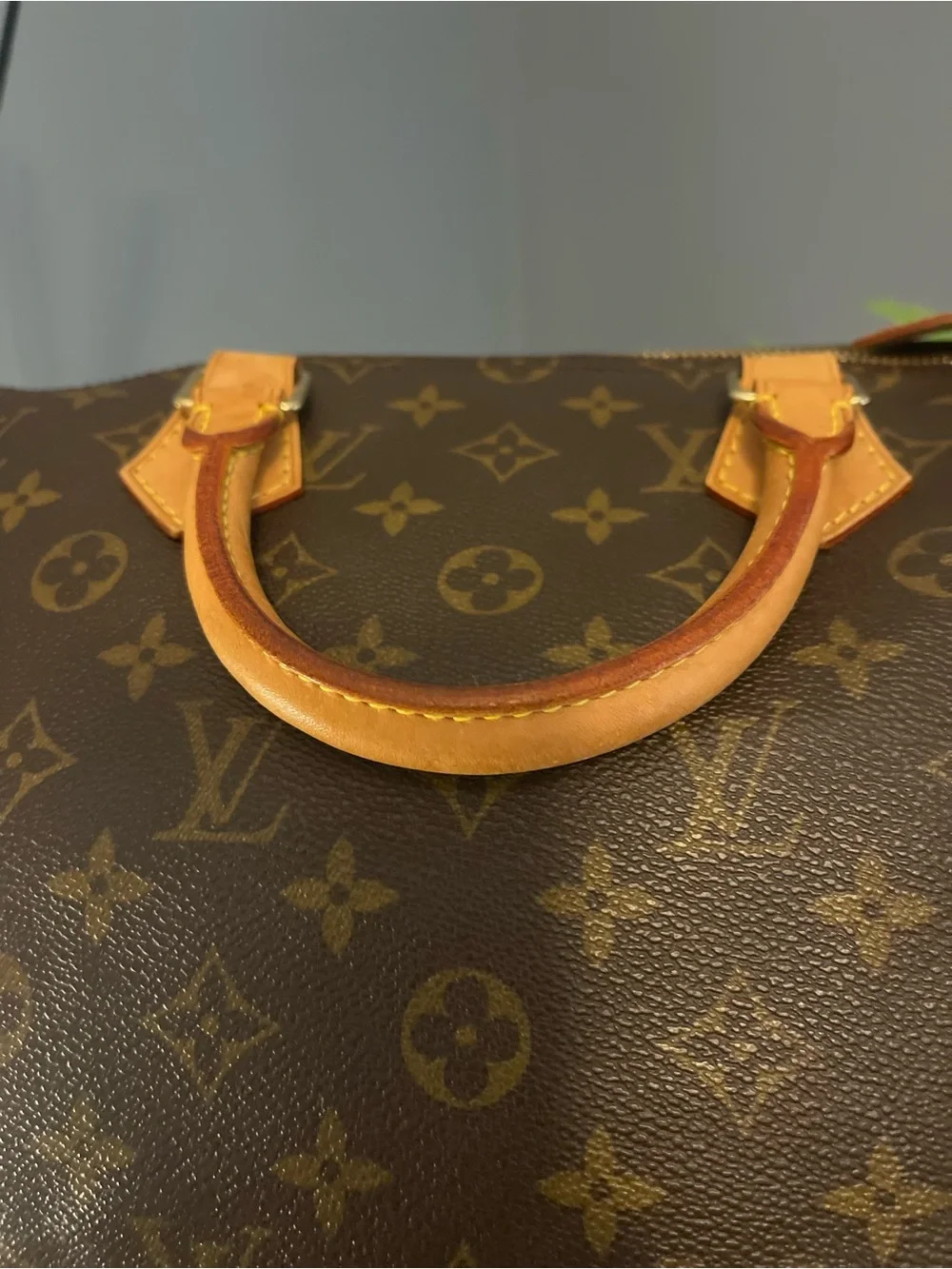 Louis Vuitton iconic louis
